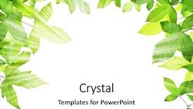  Presentation with leave - Slide deck featuring green leave background and a white colored foreground