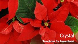  Presentation with green leaves - Presentation theme enhanced with green leaves - christmas flower background and a  colored foreground