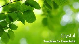  Presentation with chemistry leaves green leaf - Beautiful slide deck featuring green-leaves-and-blurred-background backdrop and a shamrock green colored foreground