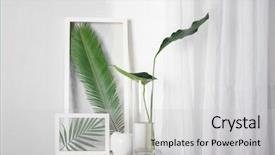  Presentation with ceramic - PPT layouts enhanced with green leaves and ceramic background and a light gray colored foreground