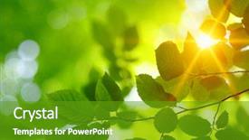  Presentation with green leaves - Cool new PPT theme with green leaves and sun backdrop and a tawny brown colored foreground