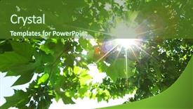  Presentation with green leaves - Presentation theme featuring green-leaves-and-sun background and a tawny brown colored foreground