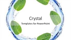  Presentation with water leaf - Colorful presentation theme enhanced with green leaves and water splashing backdrop and a white colored foreground