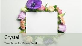  Presentation with beautiful floral border flower design - Cool new slides with green leaves as floral frame backdrop and a light gray colored foreground