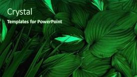  Presentation with green abstract - PPT theme with green-leaves-background-abstract-texture background and a forest green colored foreground