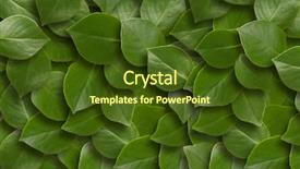  Presentation with green leaves - Cool new presentation design with green leaves background close up backdrop and a tawny brown colored foreground