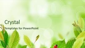  Presentation with chemistry leaves green leaf - Colorful presentation design enhanced with point of view blurred background backdrop and a violet colored foreground