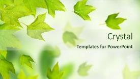  Presentation with falling leaves - Presentation theme enhanced with green leaves falling down background and a soft green colored foreground