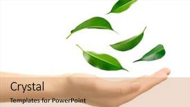  Presentation with falling leaves - Beautiful presentation featuring green leaves falling into woman backdrop and a coral colored foreground