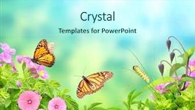  Presentation with summer flowers - Beautiful PPT theme featuring green leaves flowers caterpillar backdrop and a cool aqua colored foreground