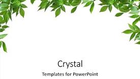  Presentation with green leaves - PPT theme having green leaves frame on white background and a white colored foreground