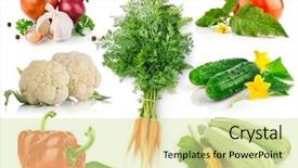  Presentation with green leaves - Amazing slide deck having green leaves isolated on white backdrop and a soft green colored foreground