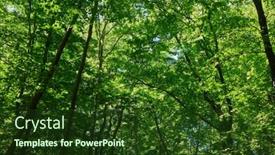  Presentation with green-leaves - PPT layouts featuring green-leaves-of-a-trees background and a tawny brown colored foreground