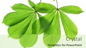  Presentation with green tree - PPT theme enhanced with green-leaves-of-chestnut-tree background and a yellow colored foreground