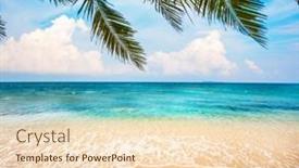  Presentation with palm tree - Cool new slide set with green-leaves-of-palm-tree backdrop and a lemonade colored foreground