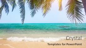  Presentation with palm tree - Presentation consisting of green-leaves-of-palm-tree background and a lemonade colored foreground