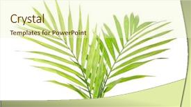  Presentation with palm leaves - Audience pleasing PPT layouts consisting of green leaves of palm tree backdrop and a cream colored foreground