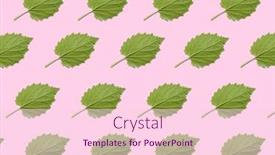  Presentation with pink green - Beautiful theme featuring green-leaves-on-pink-background backdrop and a pink colored foreground