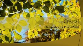  Presentation with green earth - Beautiful slide deck featuring green-leaves-on-the-branches backdrop and a gold colored foreground