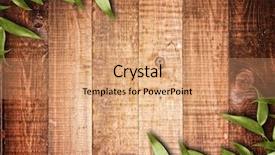  Presentation with green leaves - Theme featuring green leaves on the old background and a coral colored foreground