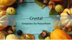  Presentation with technology orange and grey - Beautiful PPT theme featuring green leaves place in circle backdrop and a light blue colored foreground