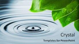  Presentation with fresh water - Slides consisting of green leaves reflected in water background and a light blue colored foreground