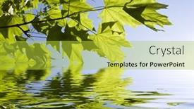  Presentation with reflecting - Slide set enhanced with green-leaves-reflecting-in-water background and a yellow colored foreground