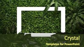  Presentation with green leaves - Beautiful slide deck featuring green leaves texture with white backdrop and a tawny brown colored foreground