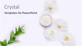  Presentation with beautiful orchid flowers - PPT layouts with green-leaves-with-containers background and a sky blue colored foreground