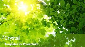  Presentation with chemistry leaves green leaf - Amazing slides having green leaves with sun ray backdrop and a shamrock green colored foreground