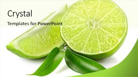  Presentation with lime green and white flower - Slide set enhanced with hazard - large nest of wasps background and a yellow colored foreground