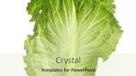  Presentation with white healthy food - PPT layouts consisting of green-lettuce-leaf-isolated background and a soft green colored foreground