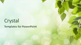  Presentation with sky blue - Cool new slide deck with green light leaf - blue sky with cloud closeup backdrop and a cream colored foreground