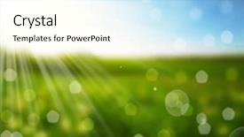  Presentation with green nature - Presentation theme enhanced with worried businesswoman looking at camera holding a folder background and a gray colored foreground