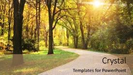  Presentation with road light - Audience pleasing slide deck consisting of green light leaf - road in autumn park nature backdrop and a coral colored foreground