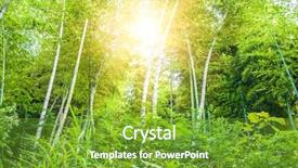  Presentation with sunlight - Presentation theme with sushi set on black background fresh japanese food background and a violet colored foreground