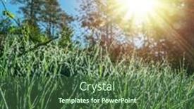  Presentation with summer trees - PPT theme featuring green-long-reeds-growing-along background and a ocean colored foreground