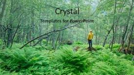  Presentation with alone - PPT layouts consisting of green lush summer norvegian forest background and a seafoam green colored foreground