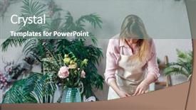  Presentation with professional learning community - Cool new presentation design with green manufacturing - professional florist working in flower backdrop and a gray colored foreground