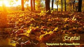  Presentation with nature sun trees - Presentation design consisting of green maple leaves - autumn trees on sun background and a tawny brown colored foreground