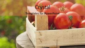  Presentation with marketing - Slides consisting of green marketing - tomatoes in a box background and a coral colored foreground