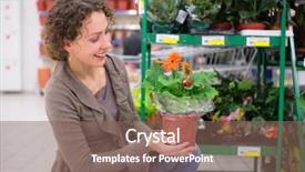  Presentation with flower 3d animation - Cool new presentation theme with green marketing - young woman holds pot backdrop and a violet colored foreground