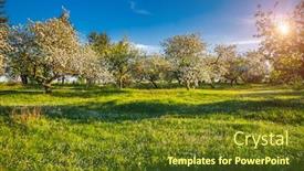  Presentation with green earth - Slides having green-meadow-and-ornamental-garden background and a tawny brown colored foreground