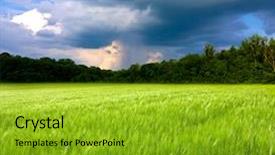  Presentation with thunderstorm - Amazing theme having green meadow before thunderstorm backdrop and a gold colored foreground