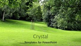  Presentation with meadow - Amazing slide set having green-meadow-in-a-park backdrop and a yellow colored foreground