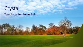  Presentation with green trees in park - Beautiful presentation design featuring green meadow in autumn park backdrop and a  colored foreground