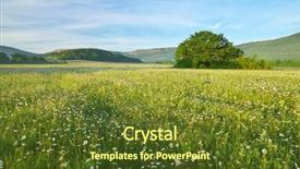  Presentation with green morning - Slide deck with green meadow in mountain background and a tawny brown colored foreground