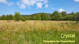  Presentation with heat - Slide deck enhanced with green meadow in summer heat background and a tawny brown colored foreground