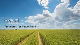  Presentation with green nature - Slides featuring green-meadow-of-wheat background and a light blue colored foreground