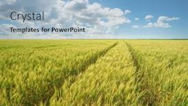  Presentation with green nature - Presentation design having green-meadow-of-wheat background and a light blue colored foreground